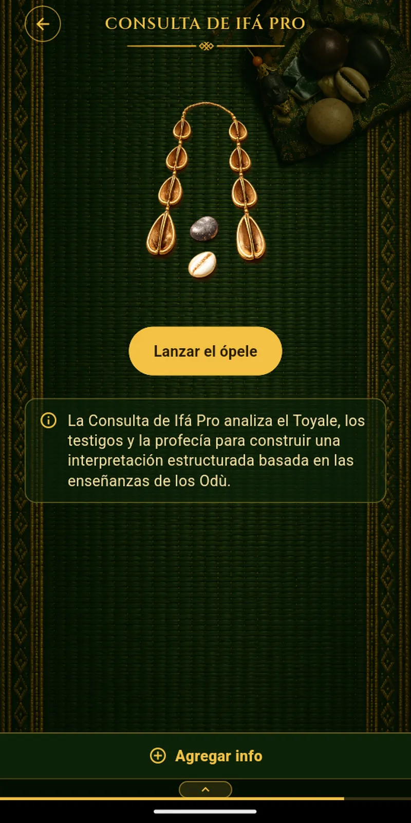 Pantalla «Consulta de Ifá» de Signos de Ifá en iPad